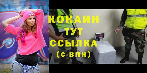 тгк Вяземский