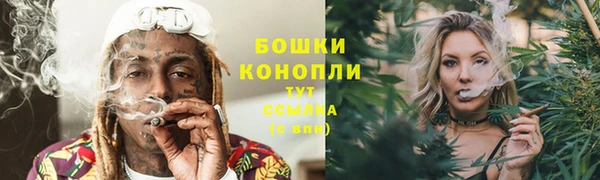 тгк Вяземский