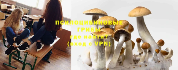 тгк Вяземский