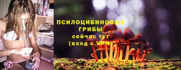тгк Вяземский