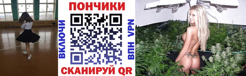 Канабис OG Kush  Мурино 